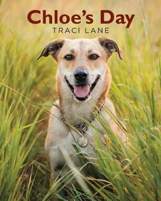 Chloe's Day By Lane 9781640824102 (Paperback)