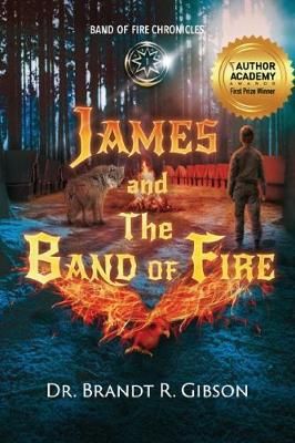 James and The Band of Fire By Gibson, Dr Brandt R 9781640853058