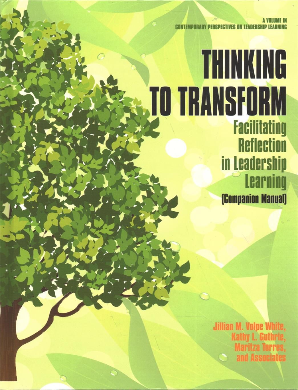 Thinking to Transform By Jillian M. Volpe Wjite 9781641138956