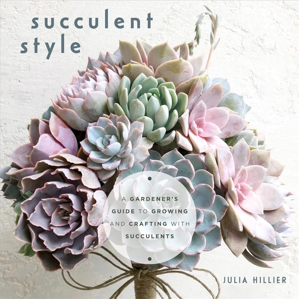 Succulent Style By Julia Hillier 9781642507850 (Paperback)