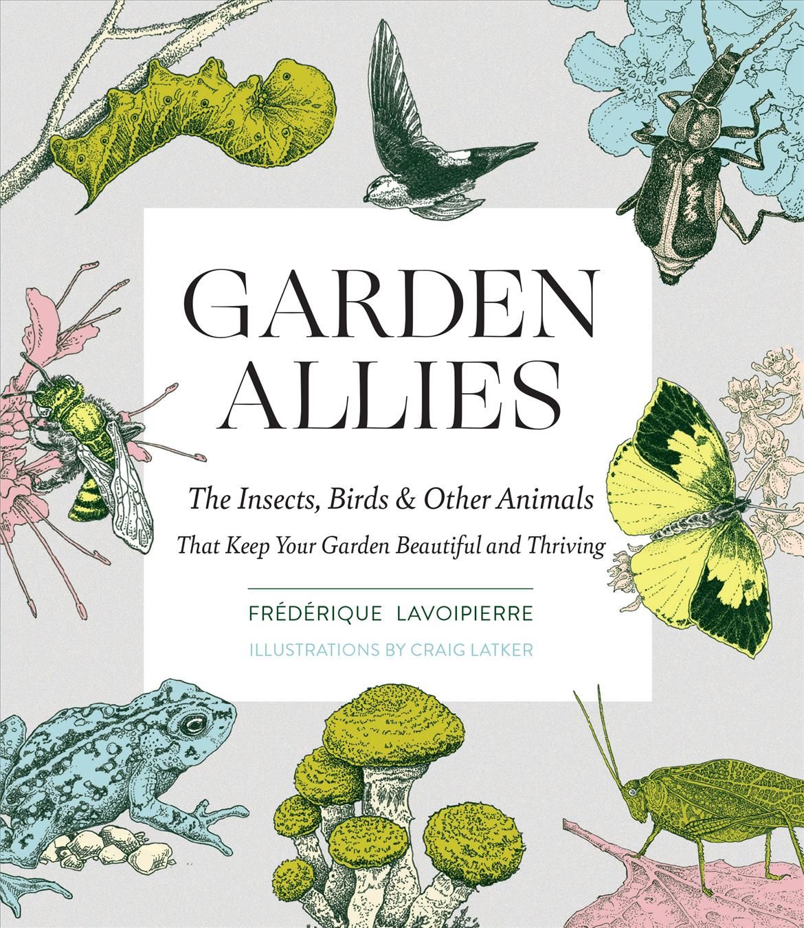 Garden Allies 9781643260082 (Paperback)
