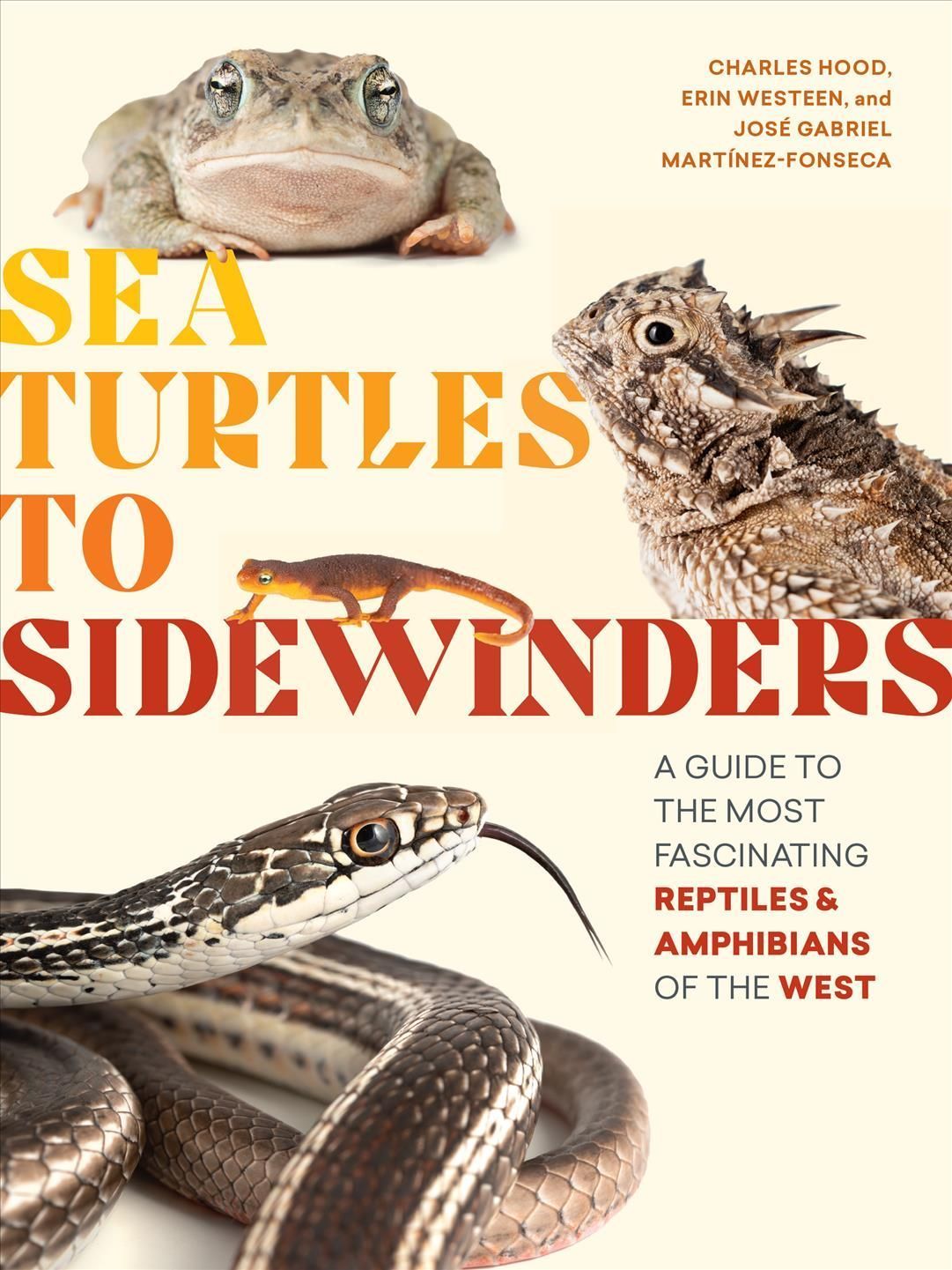 Sea Turtles to Sidewinders By Charles Hood 9781643260358 (Paperback)