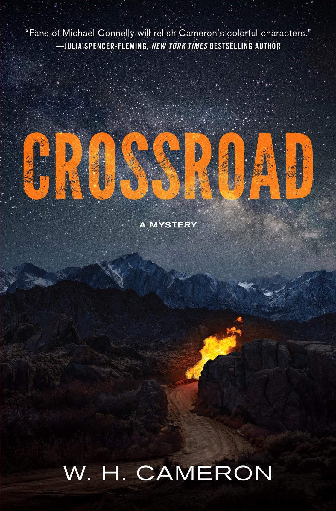 Crossroad By W. H. Cameron 9781643852805 (Hardback)
