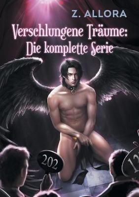 Verschlungene Trume: Die komplette Serie By Z Allora 9781644059753