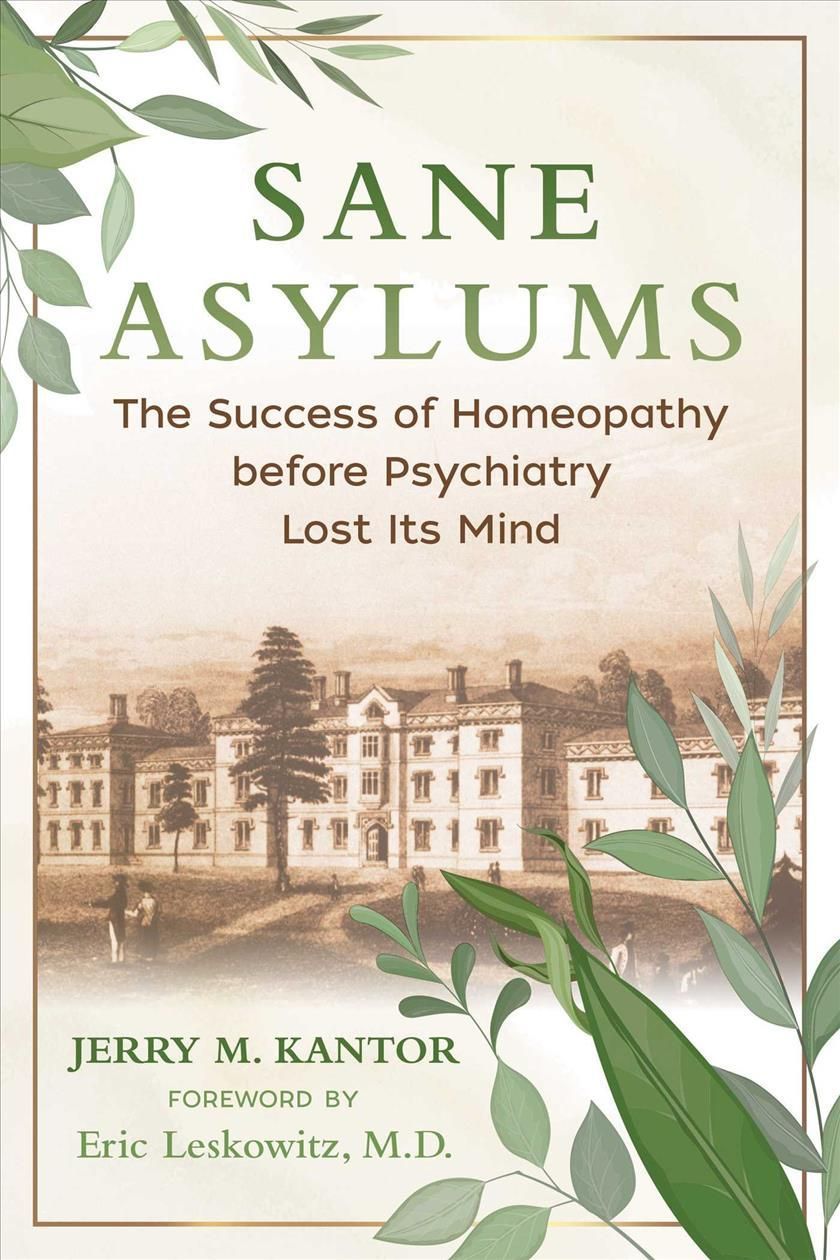 Sane Asylums By Jerry M. Kantor 9781644114087 (Paperback)