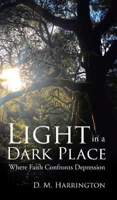 Light in a Dark Place By Harrington 9781644166222 (Hardback)