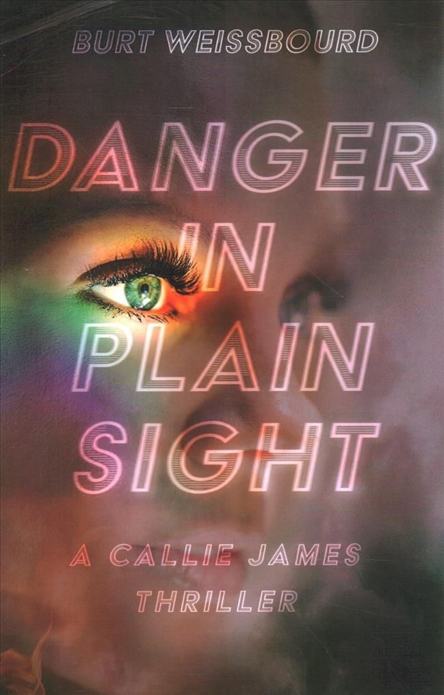 Danger in Plain Sight By Burt Weissbourd 9781644282984 (Paperback)