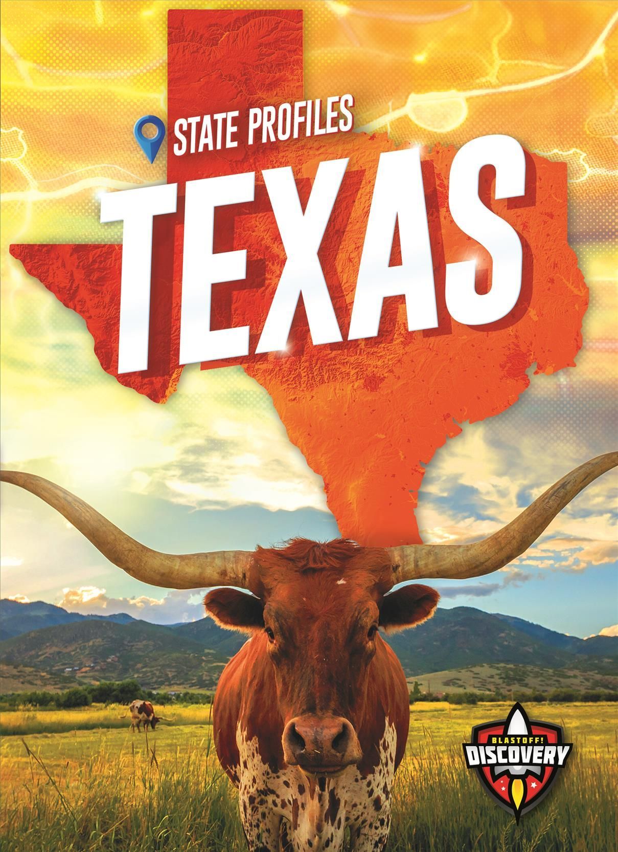 Texas By Patrick Perish 9781644873496 (Book)