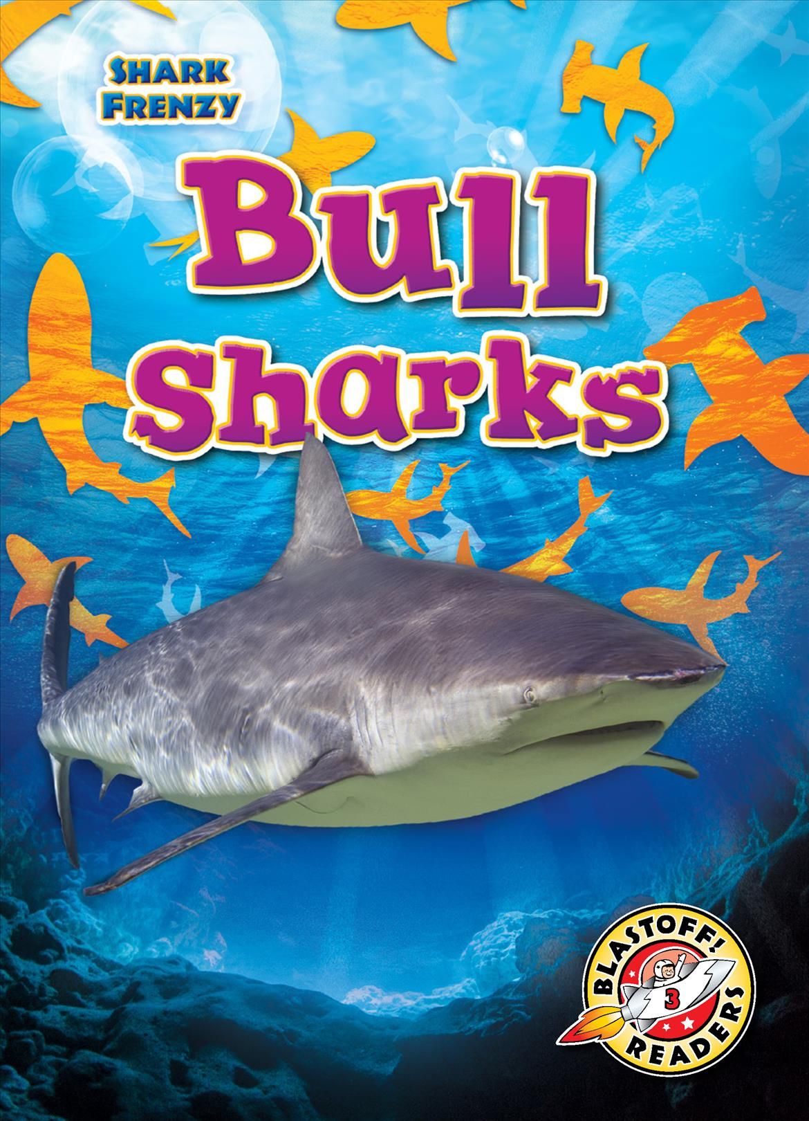 Bull Sharks By Rebecca Pettiford 9781644874387 (Hardback)
