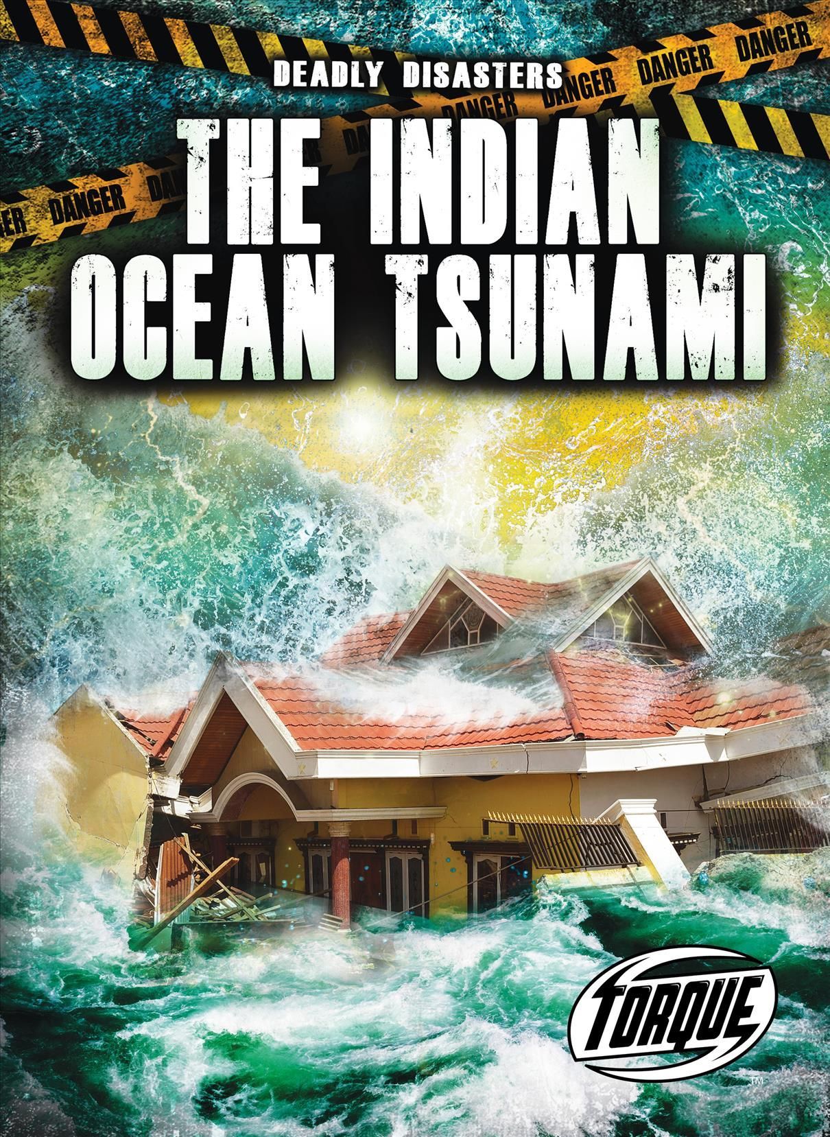 The Indian Ocean Tsunami By Thomas K. Adamson 9781644875308 (Book)