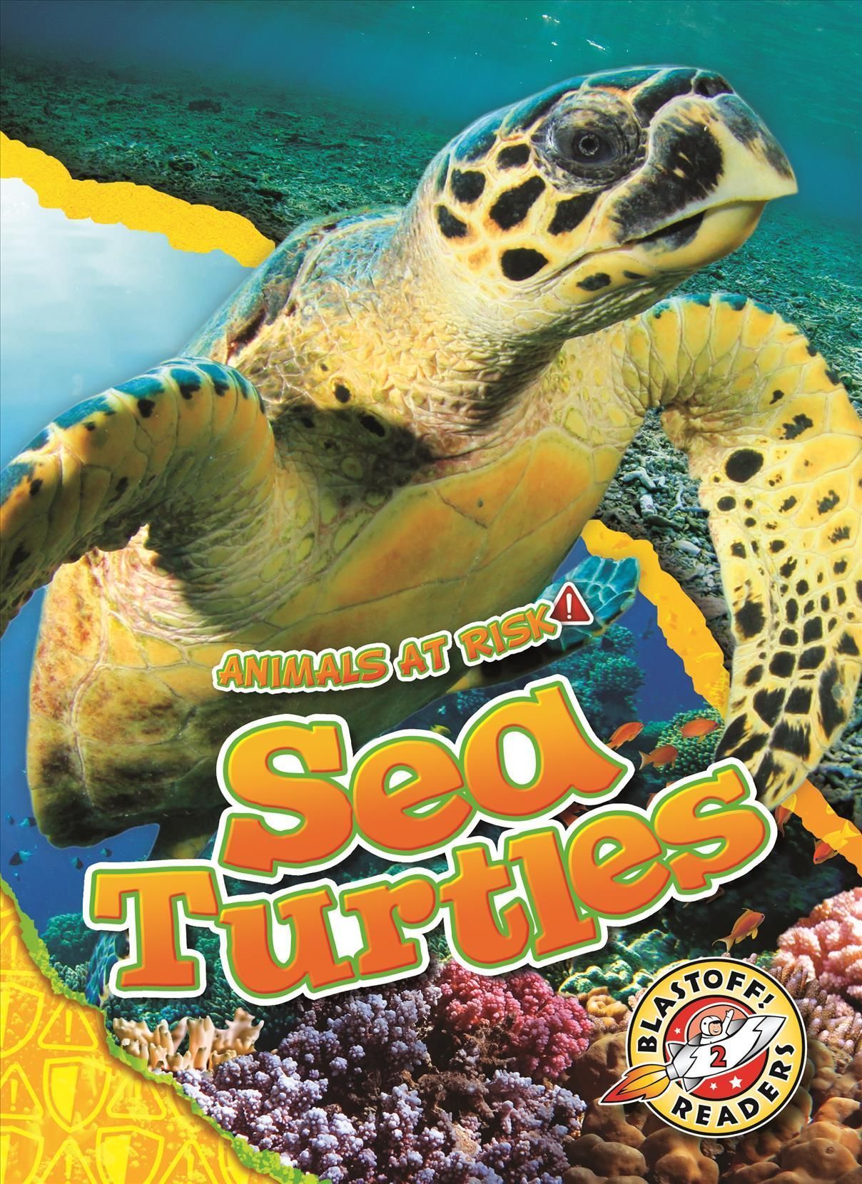 Sea Turtles By Rachel A. Koestler-Grack 9781644875919 (Book)