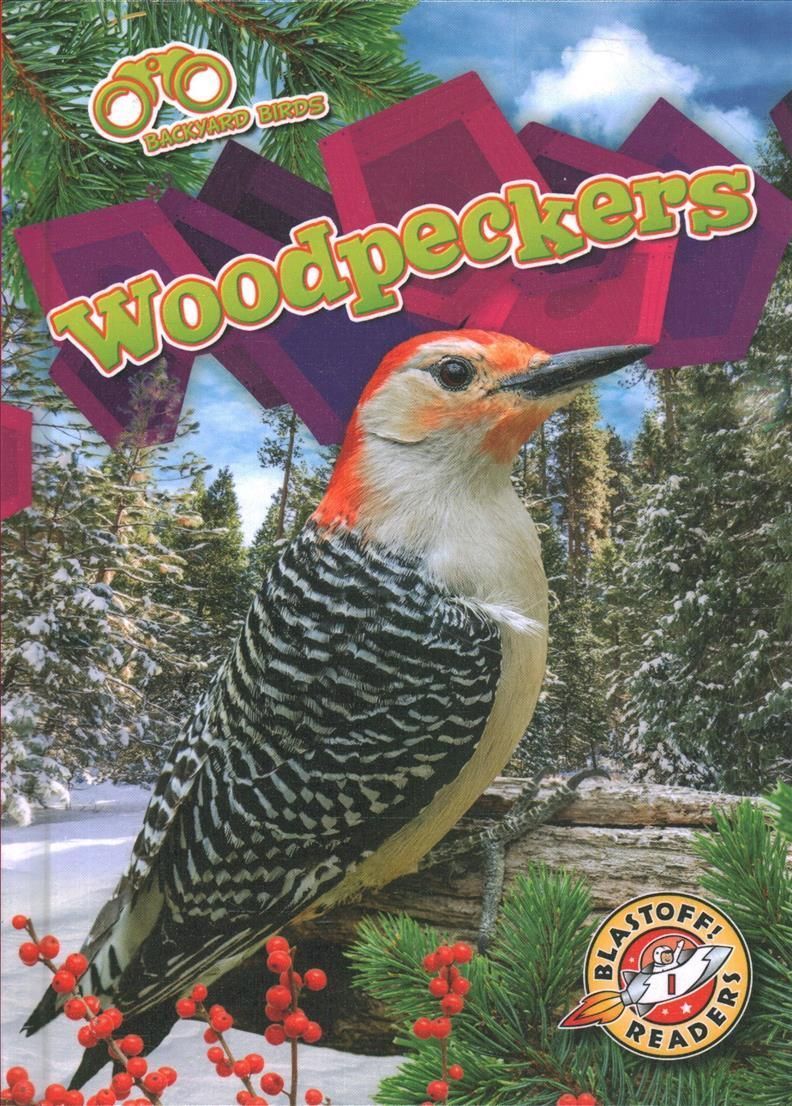 Woodpeckers By Rachael Barnes 9781644876947 (Book)