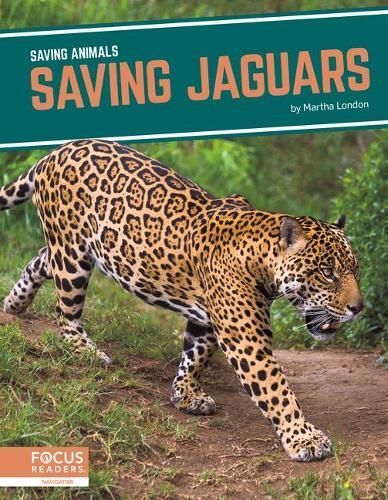 Saving Jaguars By Martha London 9781644933879 (Hardback)