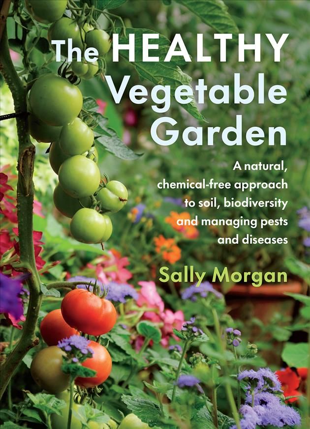 The Healthy Vegetable Garden By Sally Morgan 9781645020646 (Paperback)