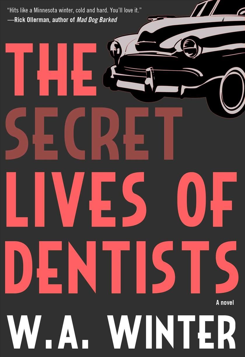 The Secret Lives of Dentists By W.A. Winter 9781645060314 (Paperback)