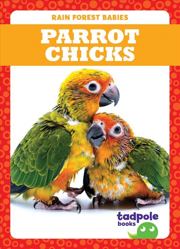 Parrot Chicks By Genevieve Nilsen 9781645274988 (Hardback)