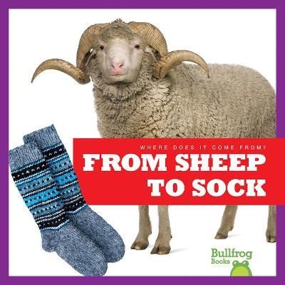 From Sheep to Sock By Avery Toolen 9781645279822 (Hardback)