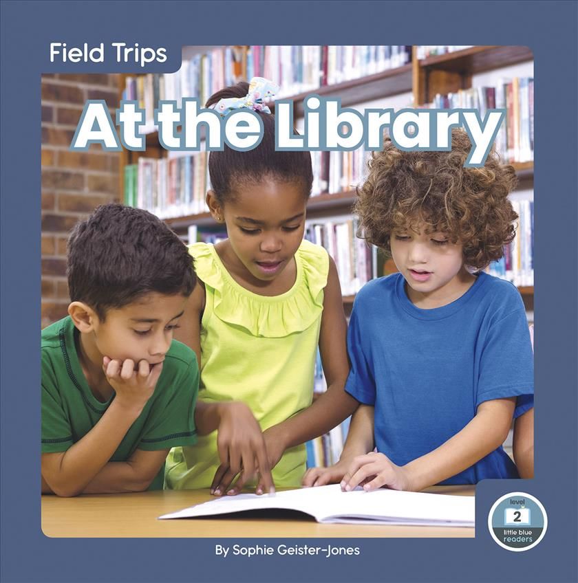 At the Library By Sophie Geister-Jones 9781646190300 (Hardback)