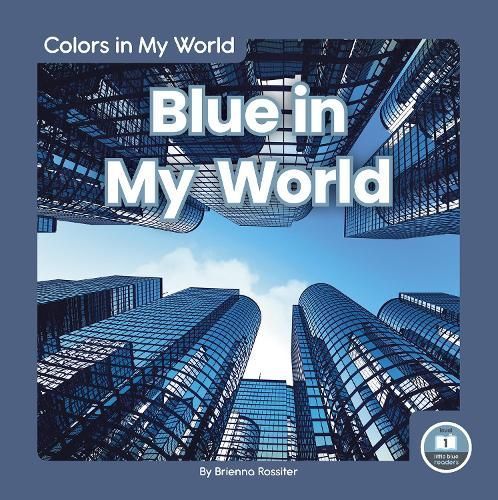 Blue in My World By Brienna Rossiter 9781646191574 (Hardback)