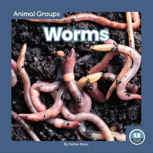 Worms By Dalton Rains 9781646198429 (Paperback)