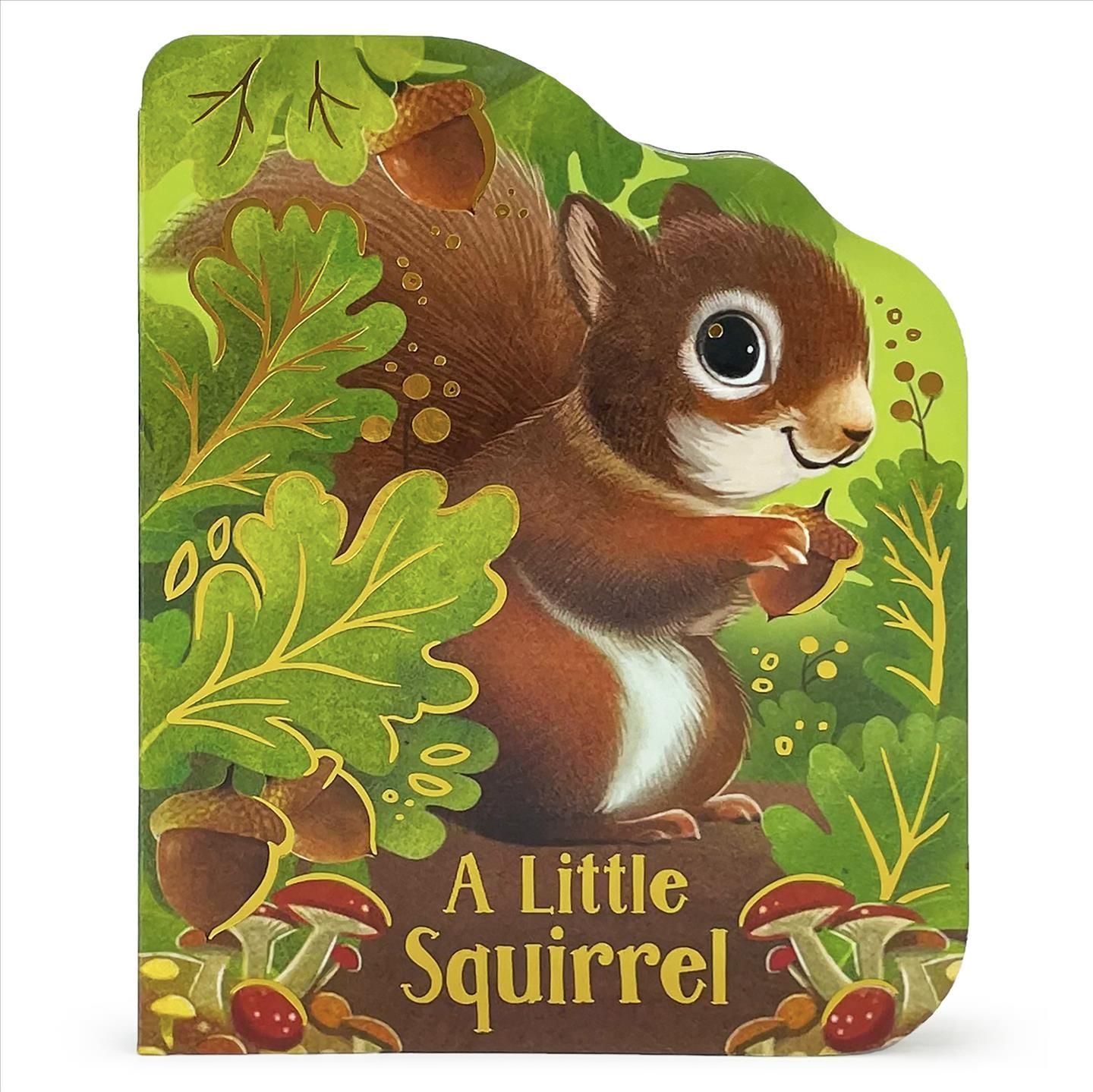 A Little Squirrel 9781646386420 (Board book)