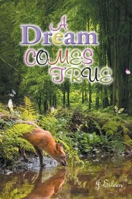 A Dream Comes True By Eileen,J, 9781646547159 (Paperback)