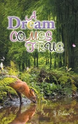 A Dream Comes True By Eileen,J, 9781646547173 (Hardback)