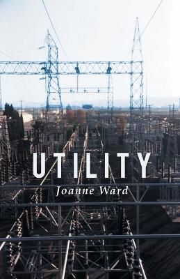 Utility By Ward 9781646624188 (Paperback)