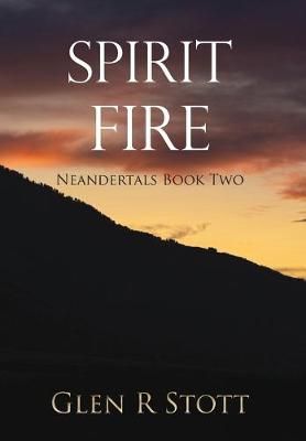 Spirit Fire By Stott 9781646696413 (Hardback)
