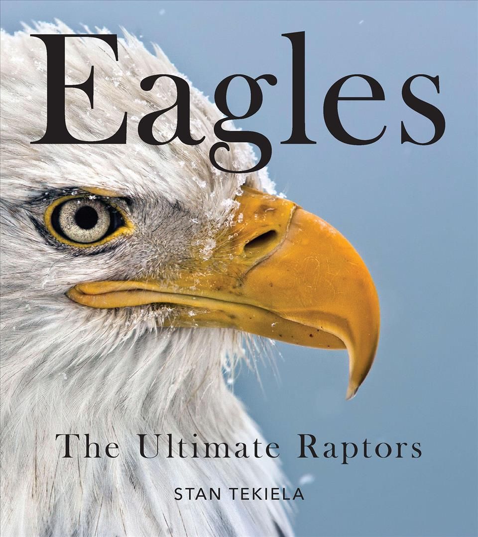 Bald Eagles By Stan Tekiela 9781647551452 (Paperback)