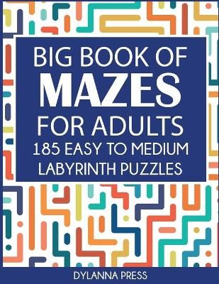 Big Book of Mazes for Adults By Dylanna Press 9781647900779