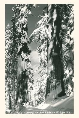Vintage Journal Wawona Grove of Big Trees, Yosemite 9781648117534