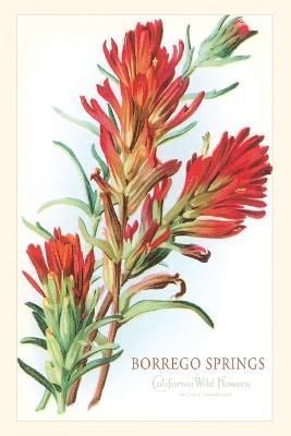 Vintage Journal Borrego Springs, Wildflowers By Found Image Press