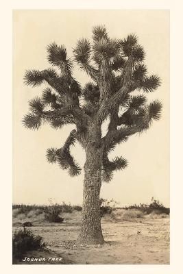 Vintage Journal Joshua Tree By Found Image Press 9781648118005