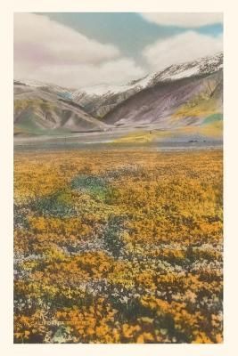 Vintage Journal California Poppies By Found Image Press 9781648118357