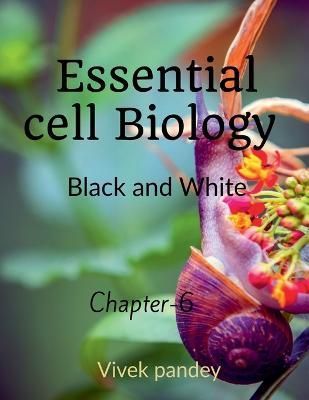 essential cell biology -6( black &white) By Pandey 9781648690273