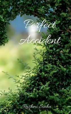 Perfect Accident By Sinha 9781648691638 (Paperback)