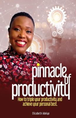 Pinnacle Of Productivity By Adeiye 9781648715204 (Paperback)