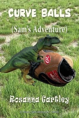 Curve Balls By Gartley 9781648831683 (Paperback)