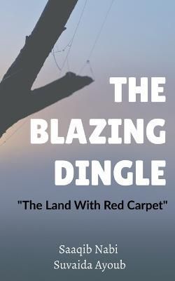 Blazing Dingle By Nabi 9781649510822 (Paperback)