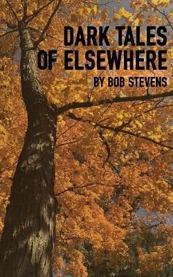 Dark Tales of Elsewhere By Stevens 9781662930539 (Paperback)