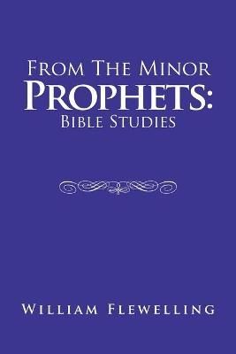 From the Minor Prophets By Flewelling 9781665508865 (Paperback)