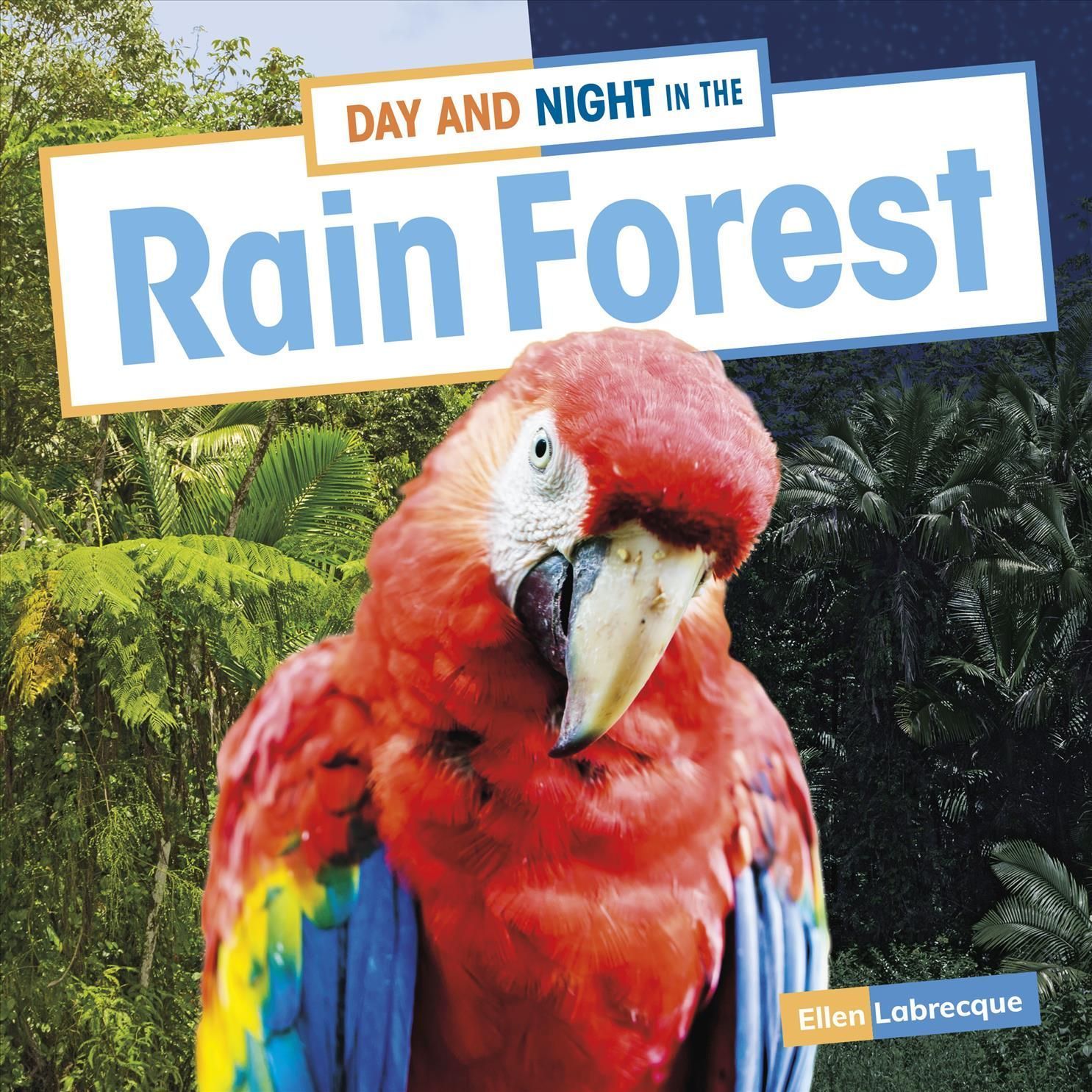 Day and Night in the Rain Forest By Ellen Labrecque 9781666327793