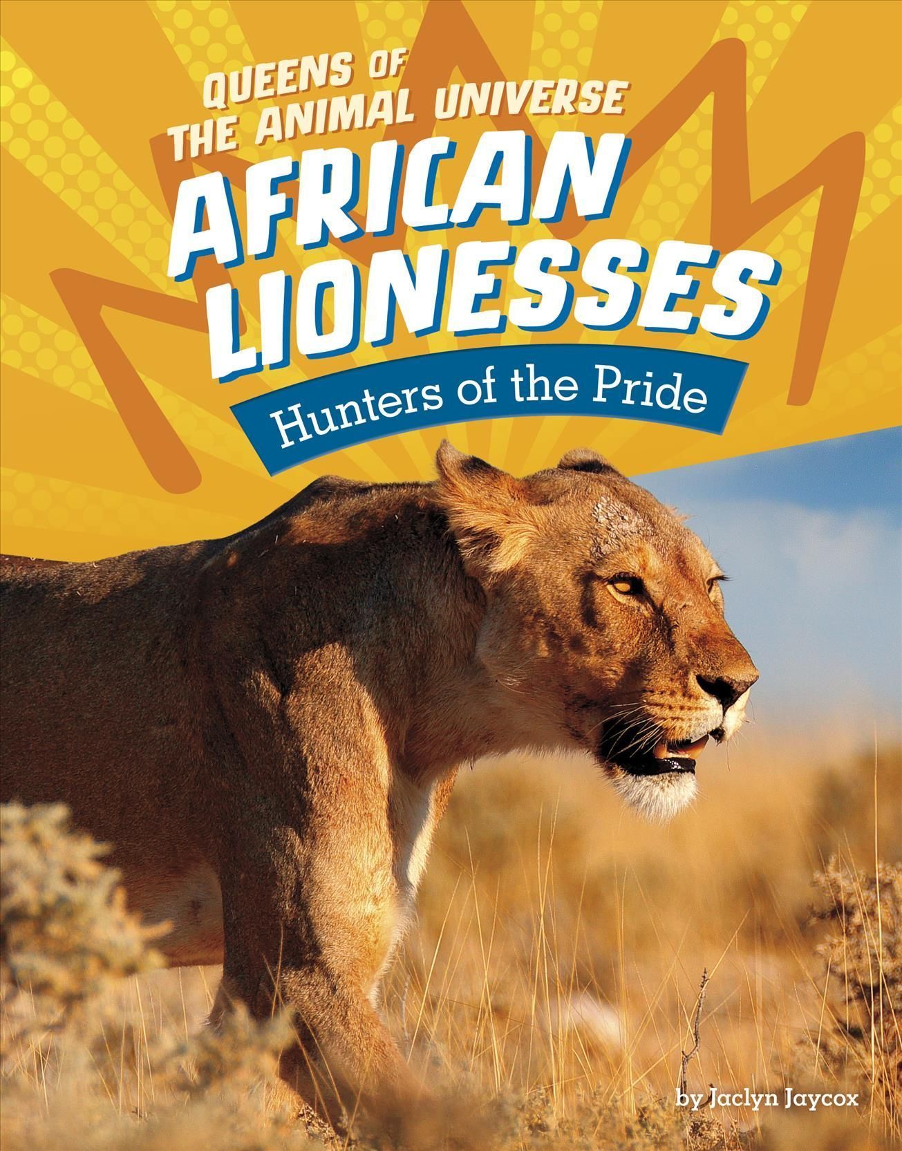 African Lionesses By Jaclyn Jaycox 9781666343038 (Hardback)