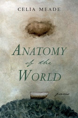 Anatomy of the World By Celia Meade 9781666770988 (Paperback)