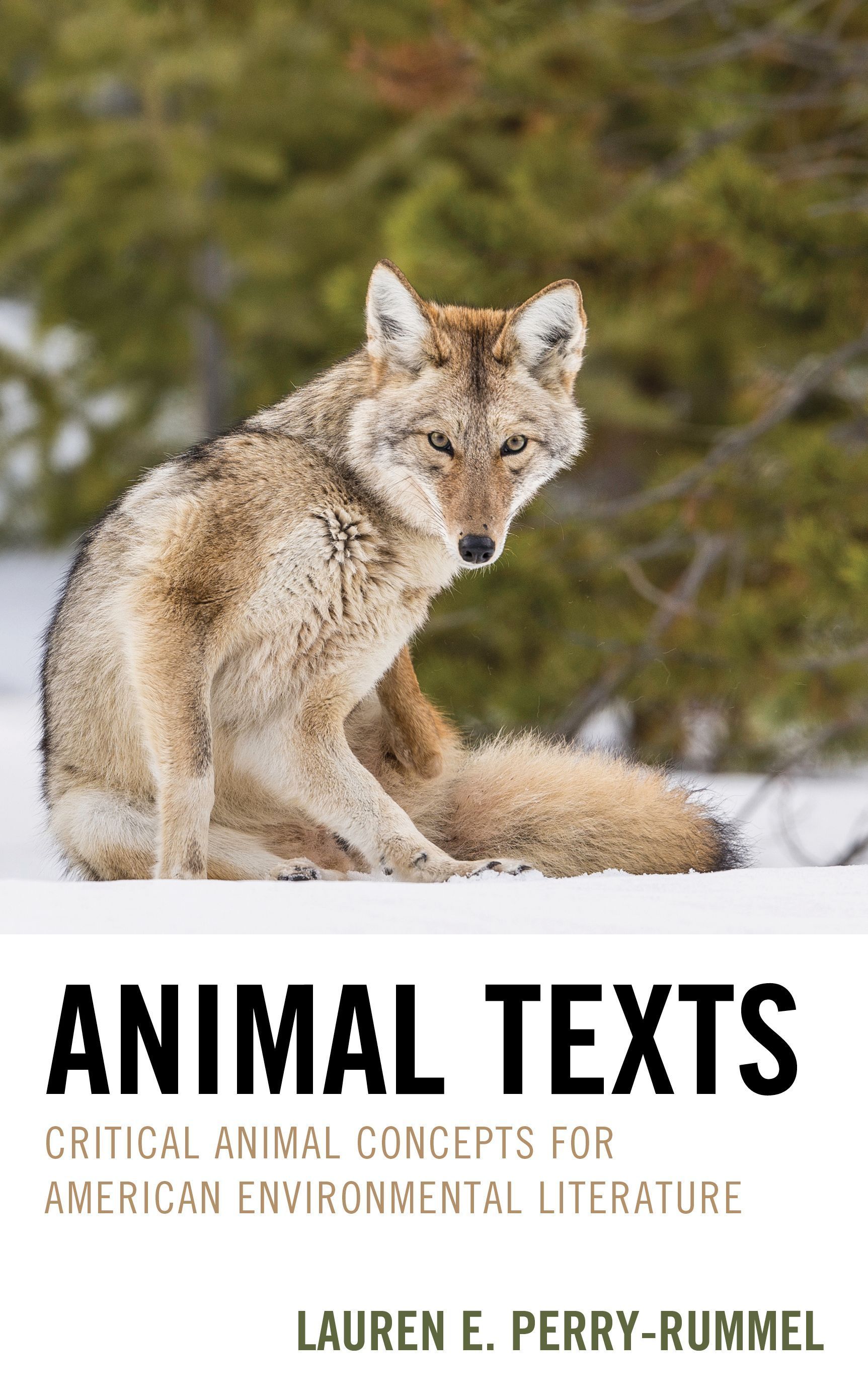 Animal Texts By Lauren E. Perry-Rummel 9781666937763 (Hardback)