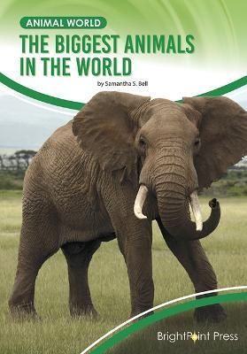 The Biggest Animals in the World By Samantha Bell 9781678206123