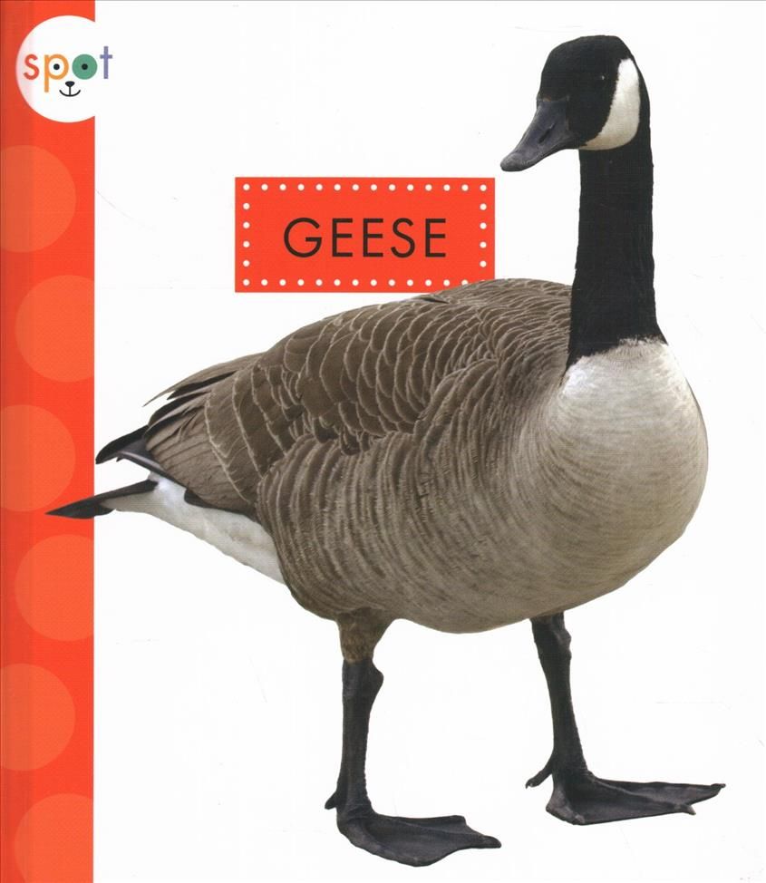 Geese By Mari C. Schuh 9781681515465 (Book)