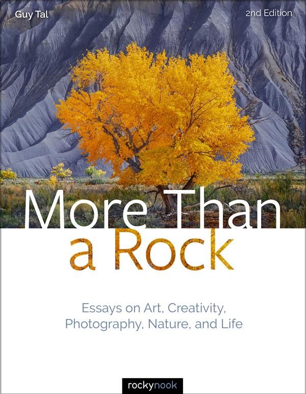 More Than a Rock By Guy Tal 9781681986838 (Hardback)