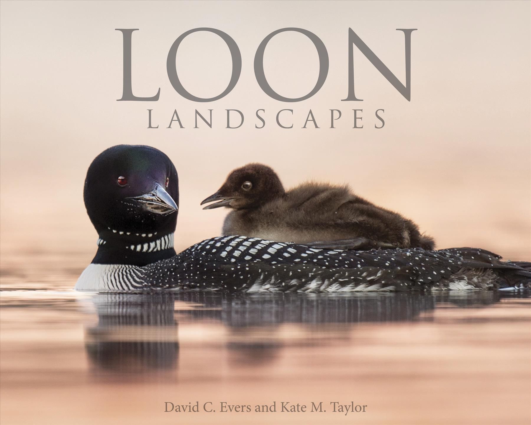 Loon Landscapes By David C. Evers, Kate M. Taylor 9781682348550 (Book)